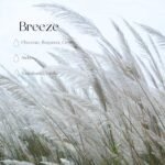 Automobilinis kvapukas su laikliu - "Breeze"