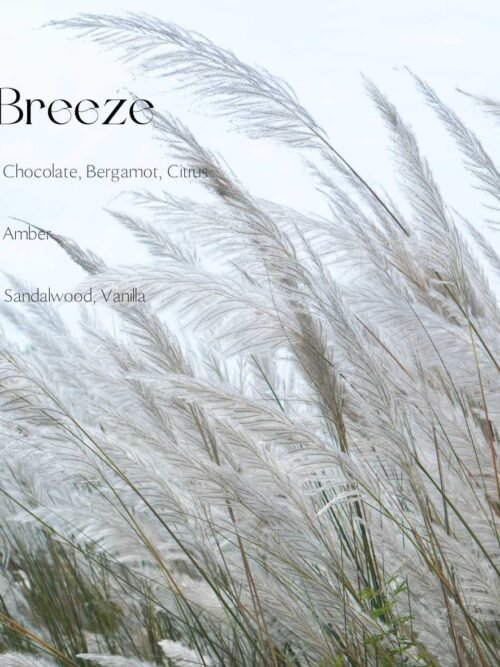 Automobilinis kvapukas su laikliu - "Breeze"