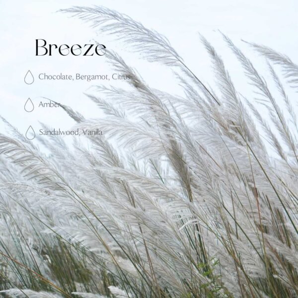 Automobilinis kvapukas su laikliu - "Breeze"